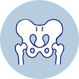 Unidad de cadera y pubis