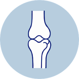 Unidad de rodilla