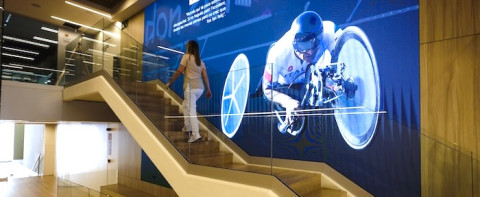 assisport